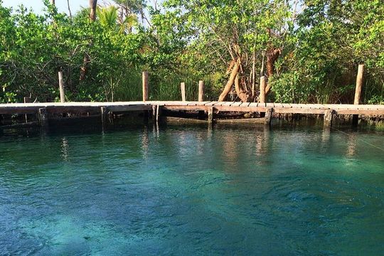 Holbox Full-Day Tour with Cenote, Isla Pasión & Punta Mosquito