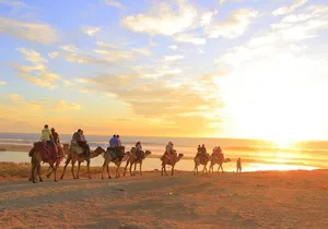 Camel Ride Tour in Los Cabos