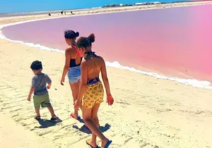 Pinktastic Lagoon Adventure Las Coloradas & Rio Lagartos from Cancun