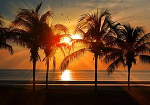 Catamaran to Isla Mujeres at sunset pick up Cancun