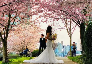 Vancouver City Tour with Cherry Blossom Festival Private