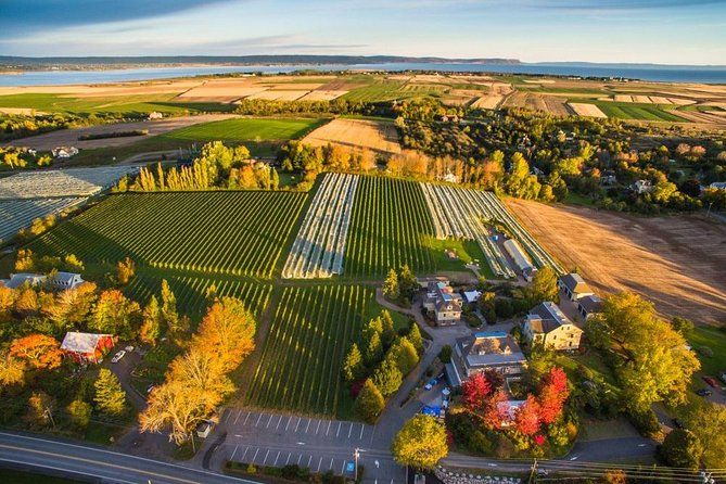 Authentic Valley Wine Tours.