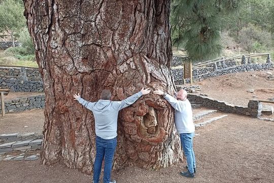 Custom Private Tour and Photo Session into the Heart of Tenerife