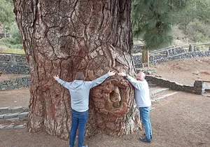 Custom Private Tour and Photo Session into the Heart of Tenerife