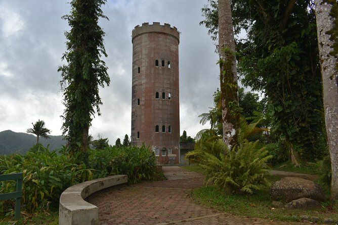 El Yunque Rainforest Guided Day Tour from San Juan