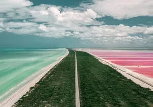 Full Day Tour to Coloradas & Rio Lagartos