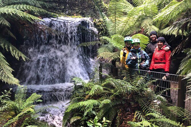 Easy Bike Tour - Mt Wellington Summit Descent & Rainforest Ride