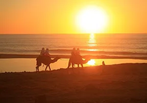 Sunset Camel Ride and ATV Combo Adventure in Los Cabos