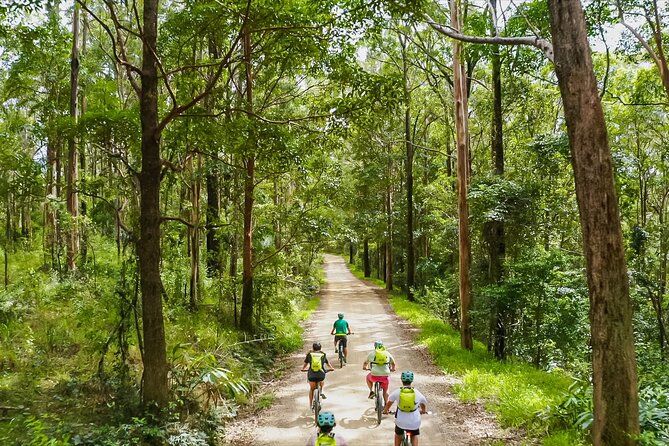 Self Guided E Bike Ride - Unicorn Falls, Rainforest & Rail Trail