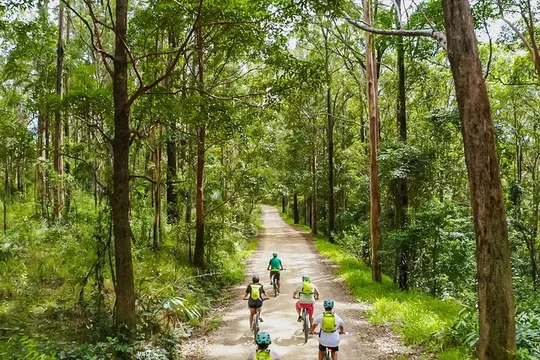 Self Guided E Bike Ride - Unicorn Falls, Rainforest & Rail Trail