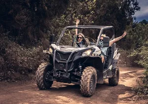 Tenerife Guided Buggy Discovery Tour Around Mount Teide