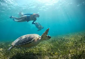 Cancun Combo Adventure: 4 Reef Snorkeling Stops & Parasailing