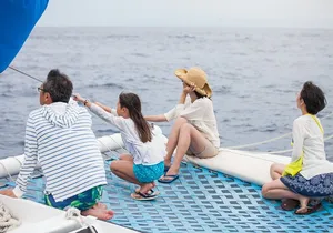 Whale Watching Amazing Adventure