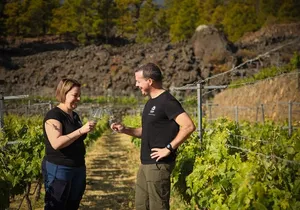 Visit to Arafo Mountain Vineyard and Organic Wine Tasting