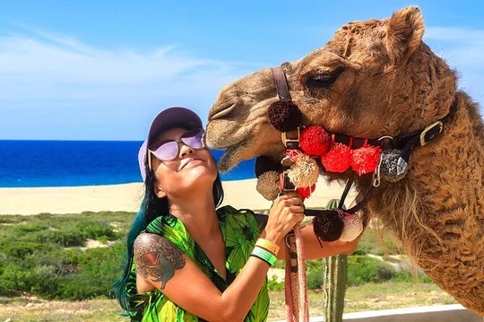 Los Cabos Beach Camel Ride Adventure