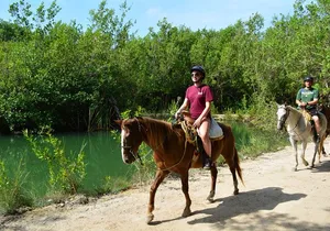STROLL the Jungle Trails on a HORSE. Includes Transportation and Equipment.