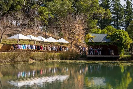 Boatshed Experience