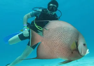 PADI Open Water Diving Certification Course Activity