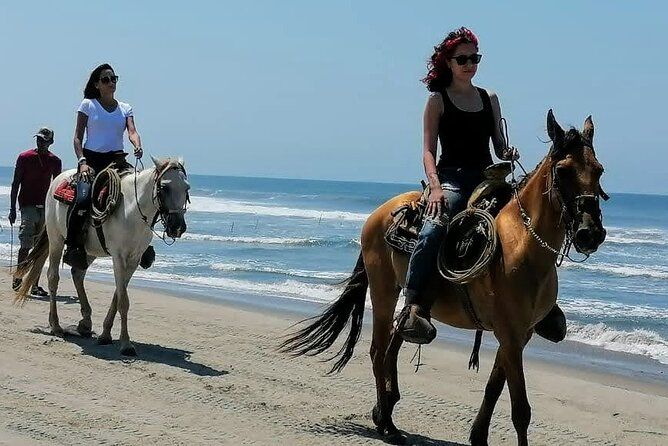 Afro-Mex Village Experience -Horseback Ride -Turtle Hatch & Crocs
