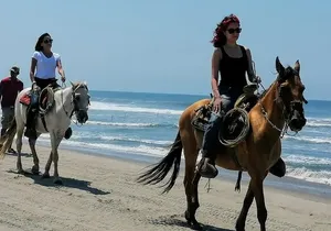 Afro-Mex Village Experience -Horseback Ride -Turtle Hatch & Crocs