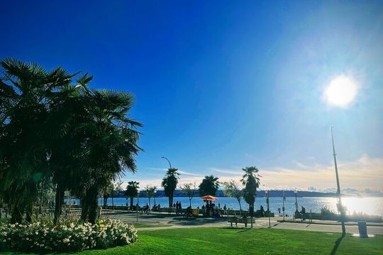 Private Vancouver Compact City Tour by Land and Water