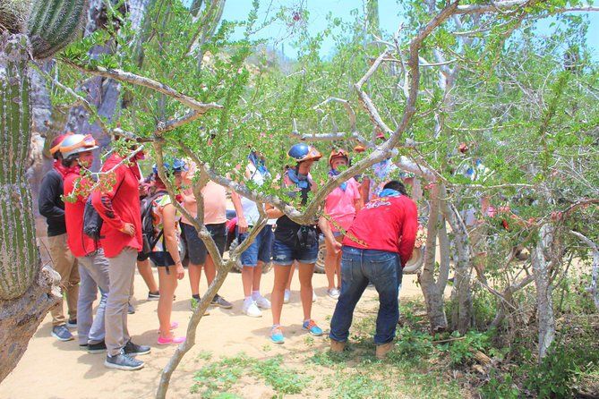 Candelaria Village Desert & Beach ATV tour