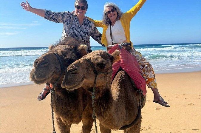 Top VIP Private Tour of Tangier from Estepona All Inclusive