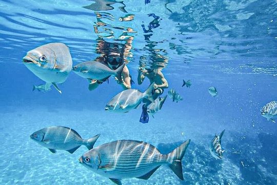 Cozumel El Cielo and 2 Reefs Snorkel with Round Transportation