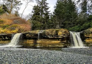 Sooke to Port Renfrew: Wild Pacific Adventure