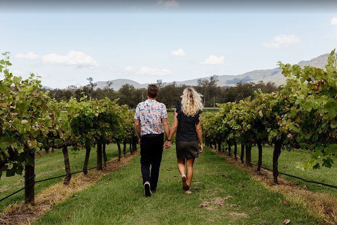 Gold Coast: Hop on Hop off Wine Tasting Tour - Tamborine Mountain