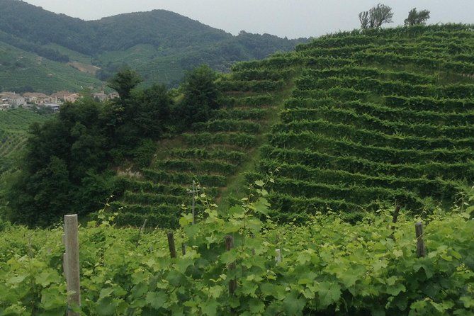 Prosecco Wine Tour With Tiramisu' From Venice