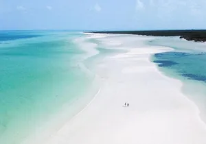 Hidden Beauty at Holbox Island Tour! From Cancun & Riviera Maya