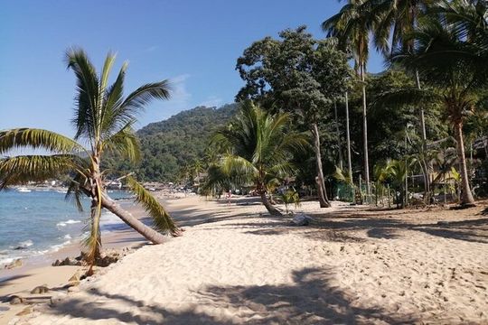 A Little Bit of Everything