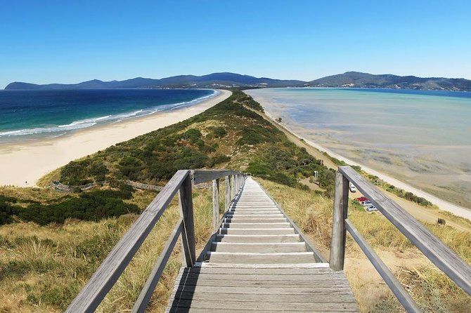 Bruny Island Day Tour Private Charter Service （3 days in advance）