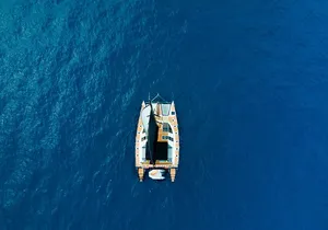 Tenerife Whale watching on private charter