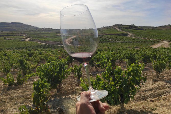 Rioja wine tour: winery visit and lunch from Pamplona