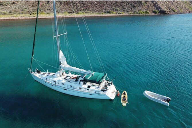 Whale Watching Sailboat Tour in San Jose del Cabo