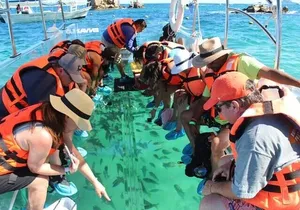 Lands End Tour by Clear Boat in Cabo San Lucas