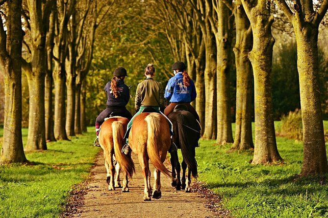 Umbria, Horseback Riding in the Umbrian Countryside with Lunch