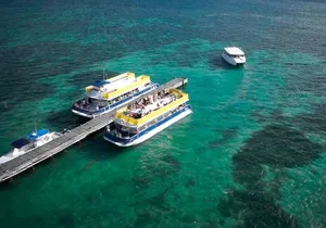 Isla Contoy! Explore a Bird Sanctuary from Cancun