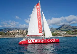 Tour with Whale and Dolphin Watching plus food included