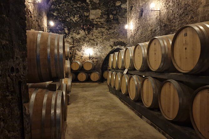 Montepulciano Vineyards & Wine Tasting Tour from Rome