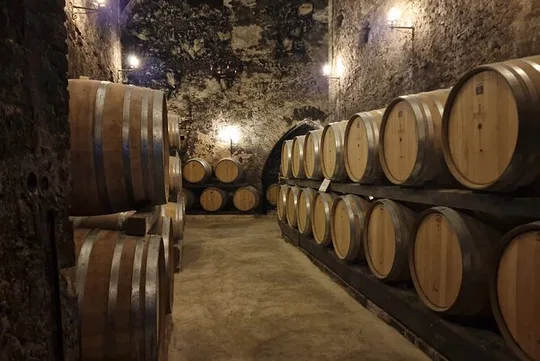 Montepulciano Vineyards & Wine Tasting Tour from Rome
