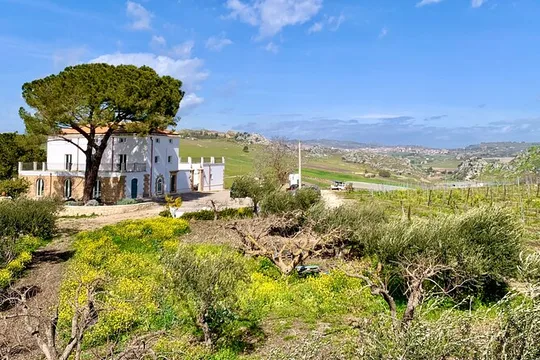 WINE TOUR & ROMAN VILLA in PIAZZA ARMERINA - Tour from Agrigento