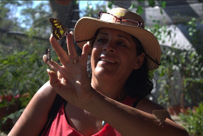 City tour express, Butterfly, tequila, river and beach