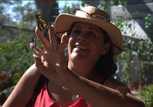 City tour express; butterfly, tequila, and beach an ecological day