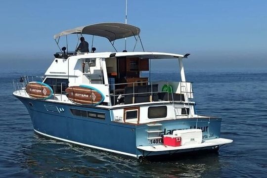 Private Yacht for up to 30 People