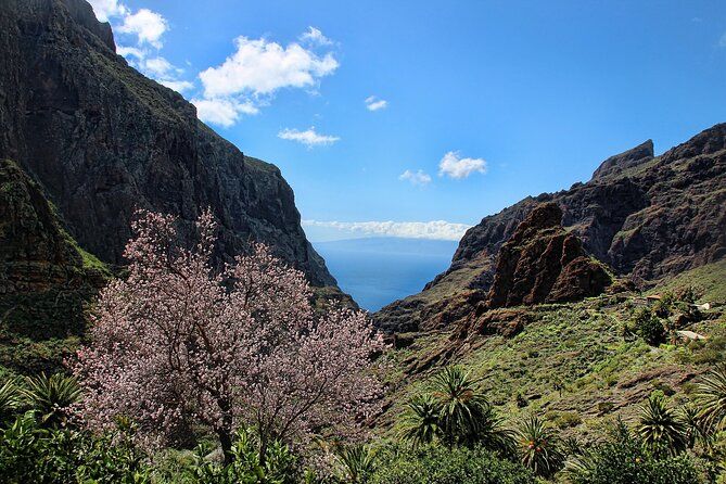 Essence of Tenerife : Candelaria, La Orotava, Garachico and Masca