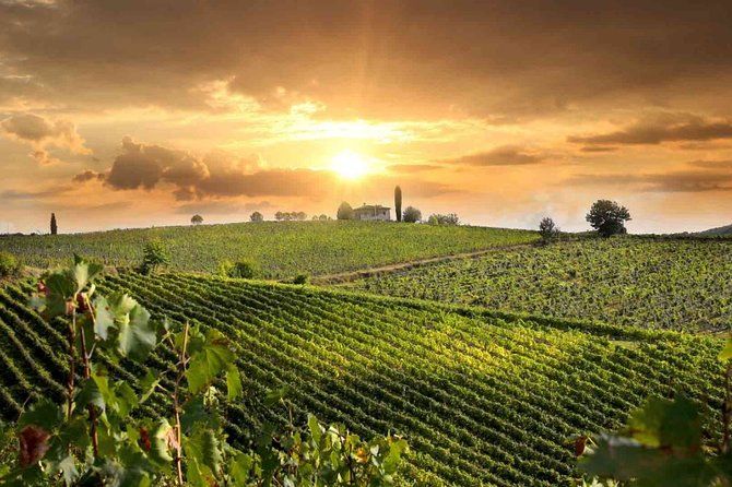 Wine and Cheese Tastings Southern Tuscany ShoreExcursion from Civitavecchia Port