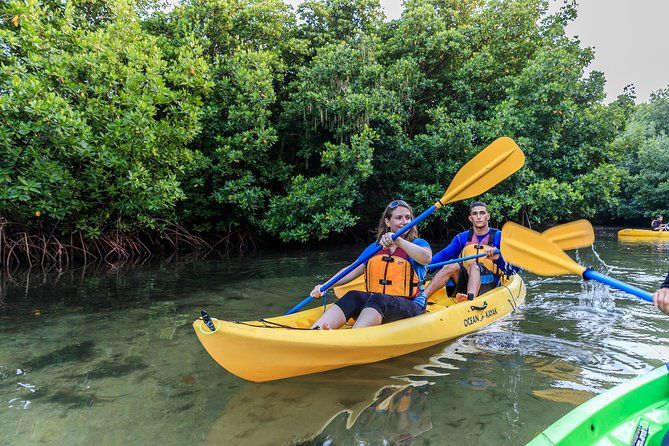 Bio Bay Night Kayak Tour with Transport from San Juan